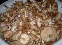 Как приготовить вкусные белые маринованные грибы на зиму Грибы маринованные на зиму рецепт
